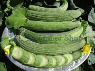 Dark Armenian Cucumber