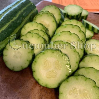 Painted Serpent (Striped Armenian) Cucumber - Image 2