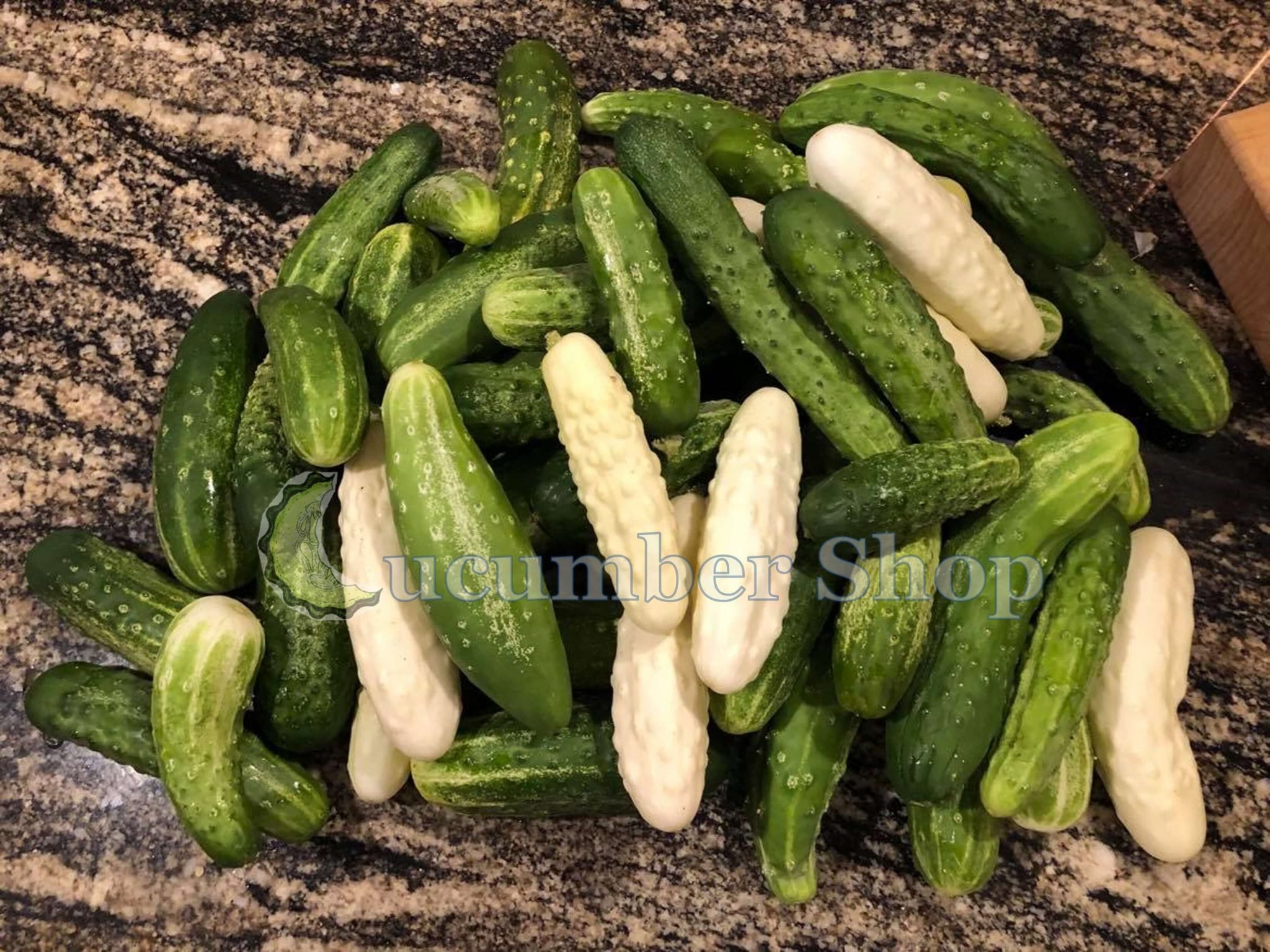 Silver Slicer Cucumber Organic Seeds - 25 Seeds