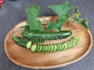 Green Finger Cucumber
